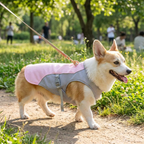 Dog Cooling Vest for Outdoor Activities in use, lifestyle